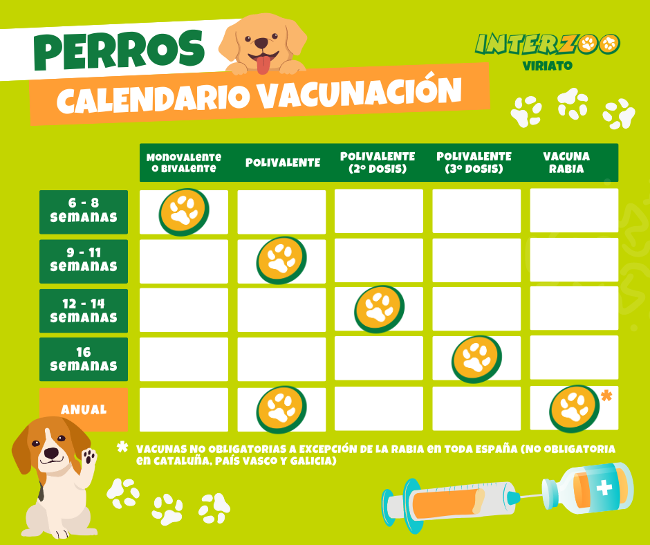 Calendario Vacunación Perros España Interzoo Viriato